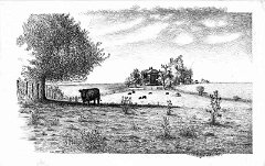 9.Angus Cows and Farmhouse, Williamsville, 1979